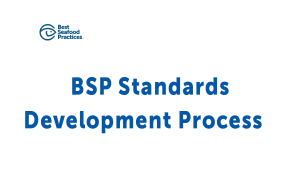 BSP Standards Development Process