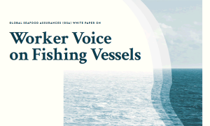 Worker Voice on Fishing Vessels